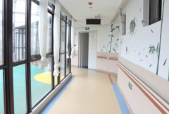 <b>白叟栖身平安</b>